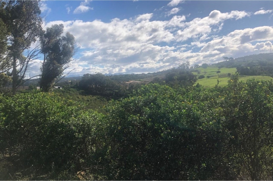 Commercial Property for Sale in Eastford Western Cape